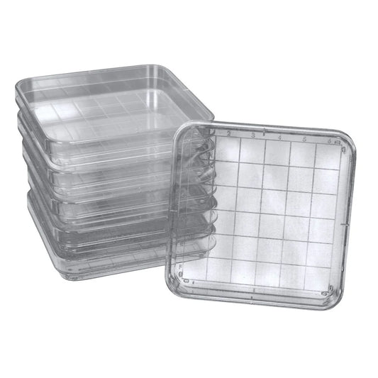 Polystyrene Square Integrid Petri Dish, Pack of 10